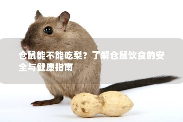 仓鼠能不能吃梨？了解仓鼠饮食的安全与健康指南