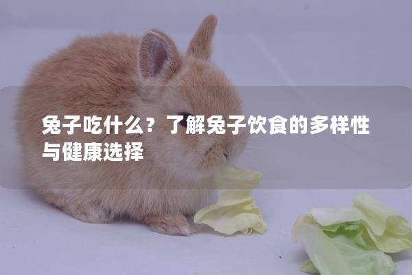 兔子吃什么？了解兔子饮食的多样性与健康选择