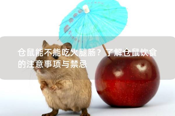 仓鼠能不能吃火腿肠？了解仓鼠饮食的注意事项与禁忌