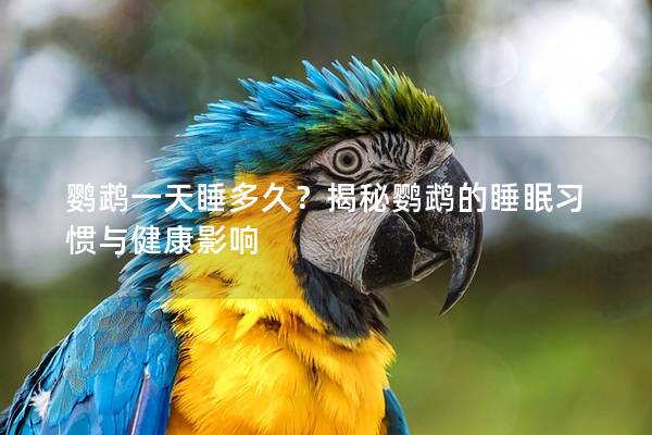 鹦鹉一天睡多久？揭秘鹦鹉的睡眠习惯与健康影响
