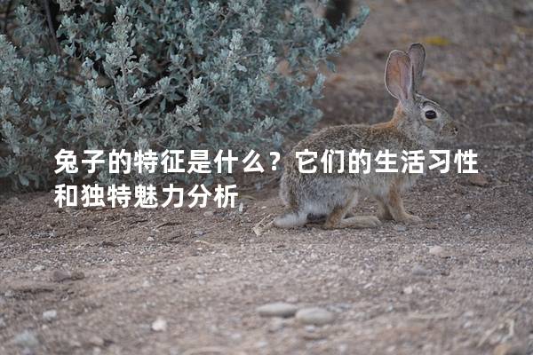 兔子的特征是什么？它们的生活习性和独特魅力分析