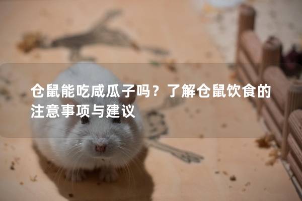 仓鼠能吃咸瓜子吗？了解仓鼠饮食的注意事项与建议