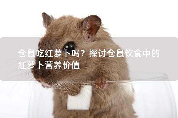 仓鼠吃红萝卜吗？探讨仓鼠饮食中的红萝卜营养价值