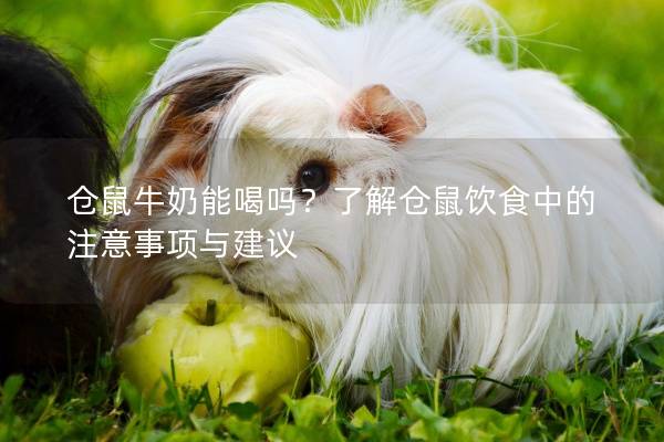 仓鼠牛奶能喝吗？了解仓鼠饮食中的注意事项与建议