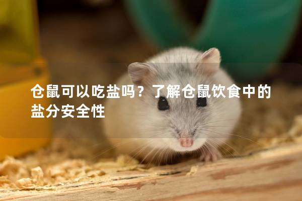仓鼠可以吃盐吗？了解仓鼠饮食中的盐分安全性