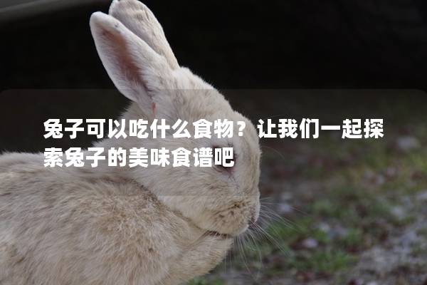 兔子可以吃什么食物？让我们一起探索兔子的美味食谱吧