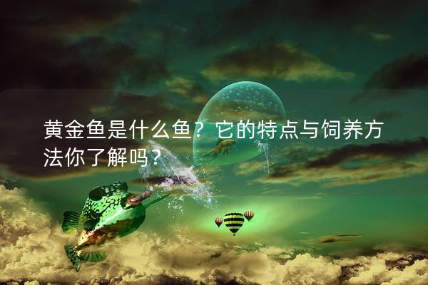 黄金鱼是什么鱼？它的特点与饲养方法你了解吗？