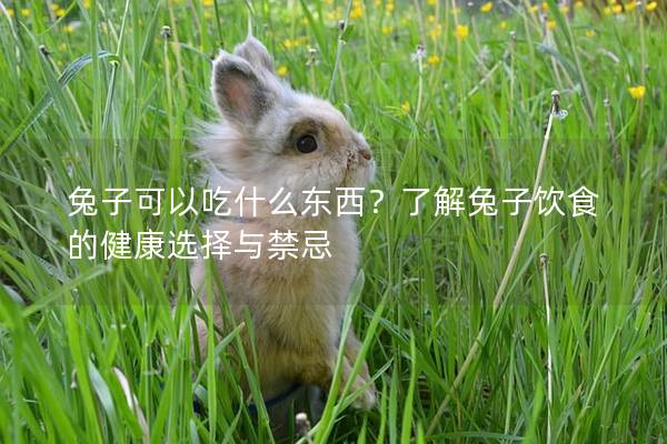 兔子可以吃什么东西？了解兔子饮食的健康选择与禁忌