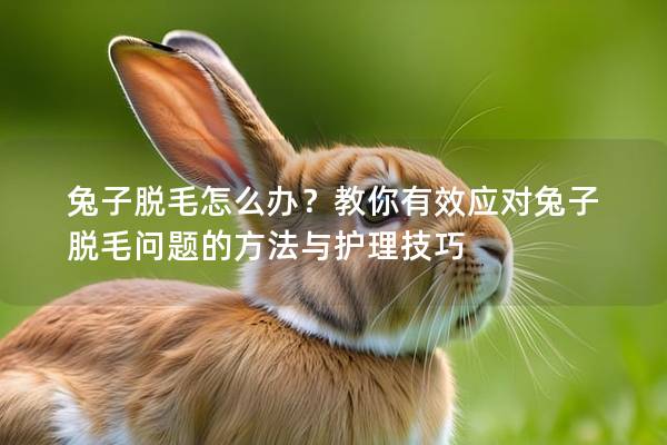 兔子脱毛怎么办？教你有效应对兔子脱毛问题的方法与护理技巧