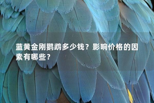 蓝黄金刚鹦鹉多少钱？影响价格的因素有哪些？