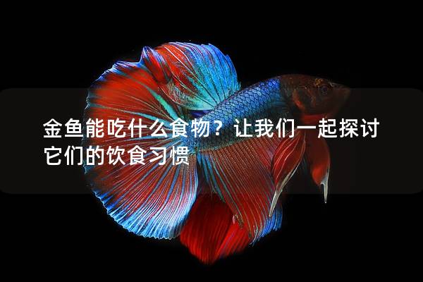 金鱼能吃什么食物？让我们一起探讨它们的饮食习惯