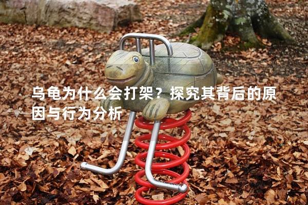 乌龟为什么会打架？探究其背后的原因与行为分析