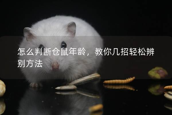 怎么判断仓鼠年龄，教你几招轻松辨别方法