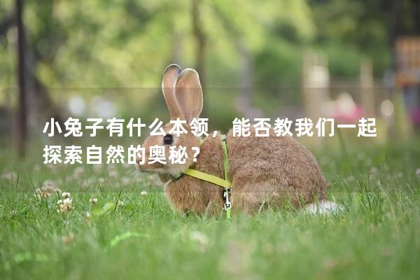 小兔子有什么本领，能否教我们一起探索自然的奥秘？