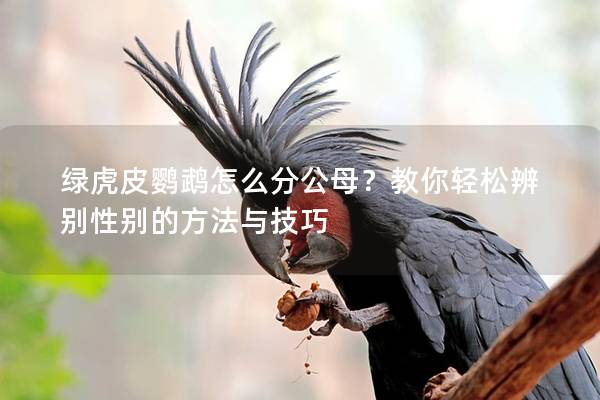 绿虎皮鹦鹉怎么分公母？教你轻松辨别性别的方法与技巧