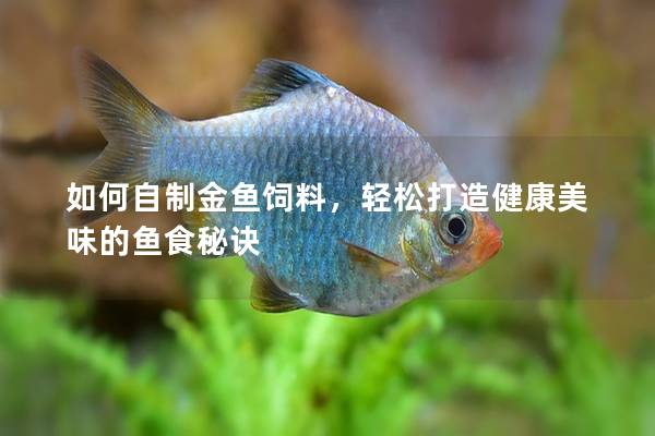 如何自制金鱼饲料，轻松打造健康美味的鱼食秘诀