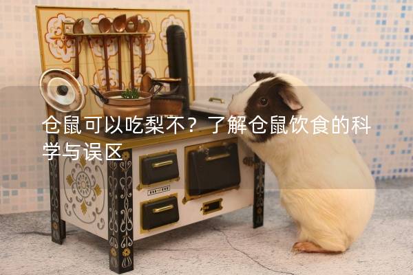 仓鼠可以吃梨不？了解仓鼠饮食的科学与误区
