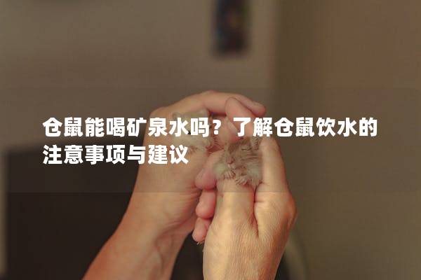 仓鼠能喝矿泉水吗？了解仓鼠饮水的注意事项与建议