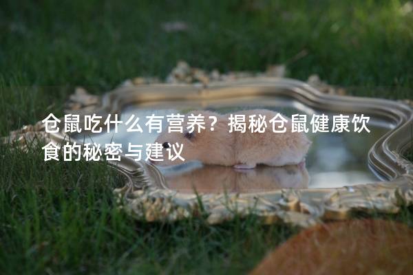 仓鼠吃什么有营养？揭秘仓鼠健康饮食的秘密与建议