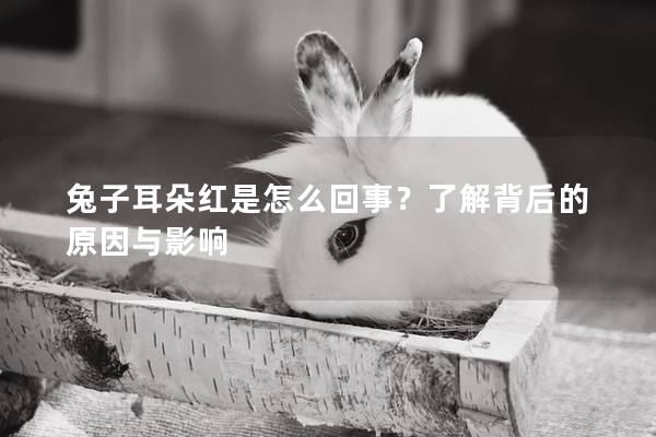 兔子耳朵红是怎么回事？了解背后的原因与影响