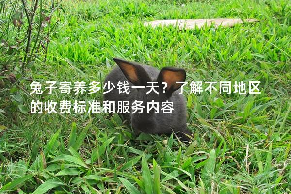 兔子寄养多少钱一天？了解不同地区的收费标准和服务内容