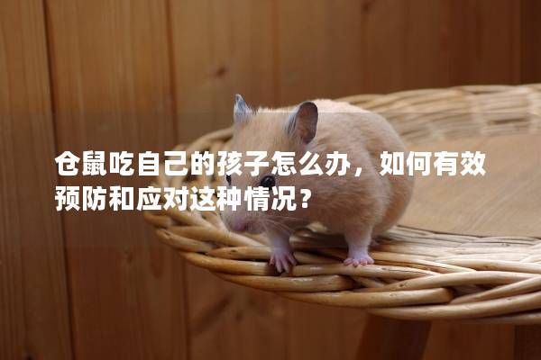 仓鼠吃自己的孩子怎么办，如何有效预防和应对这种情况？