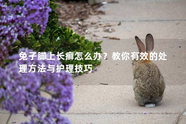 兔子脚上长癣怎么办？教你有效的处理方法与护理技巧