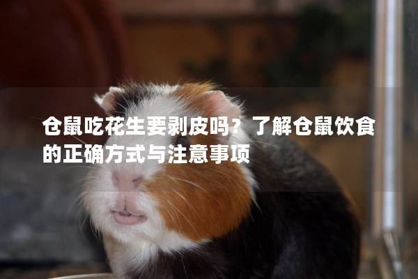仓鼠吃花生要剥皮吗？了解仓鼠饮食的正确方式与注意事项