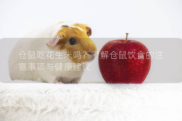仓鼠吃花生米吗？了解仓鼠饮食的注意事项与健康建议