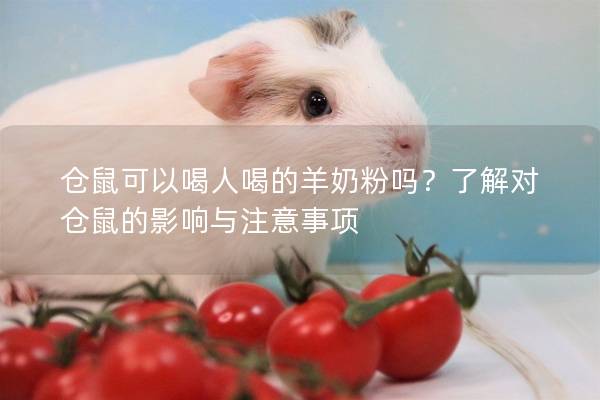 仓鼠可以喝人喝的羊奶粉吗？了解对仓鼠的影响与注意事项