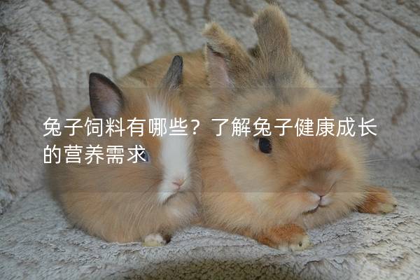 兔子饲料有哪些？了解兔子健康成长的营养需求