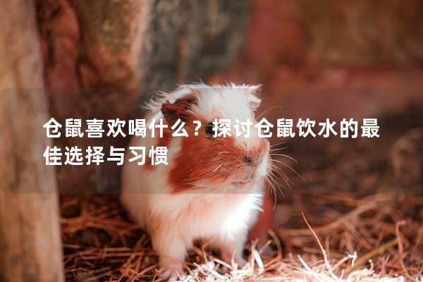 仓鼠喜欢喝什么？探讨仓鼠饮水的最佳选择与习惯