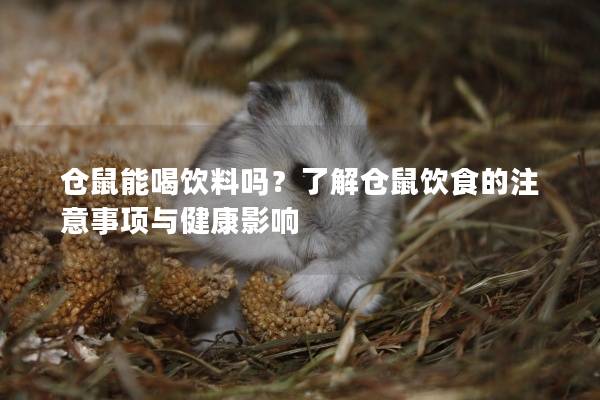 仓鼠能喝饮料吗？了解仓鼠饮食的注意事项与健康影响