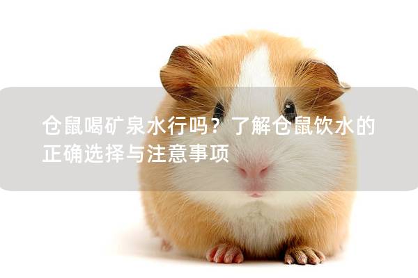 仓鼠喝矿泉水行吗？了解仓鼠饮水的正确选择与注意事项