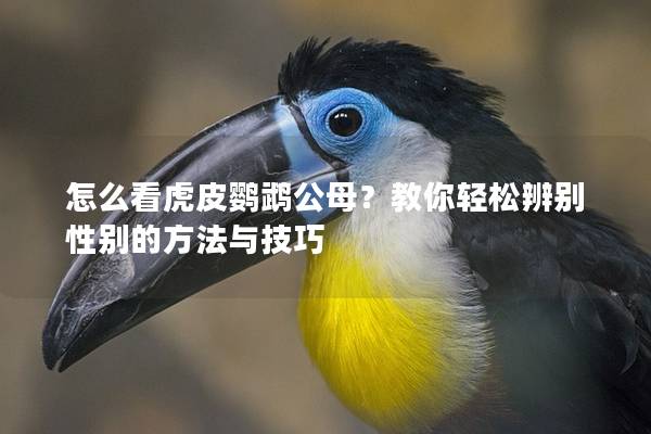 怎么看虎皮鹦鹉公母？教你轻松辨别性别的方法与技巧