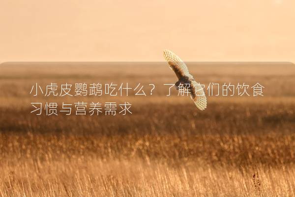 小虎皮鹦鹉吃什么？了解它们的饮食习惯与营养需求