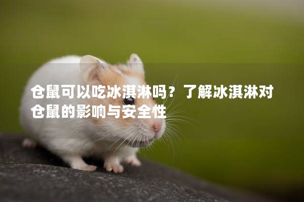 仓鼠可以吃冰淇淋吗？了解冰淇淋对仓鼠的影响与安全性