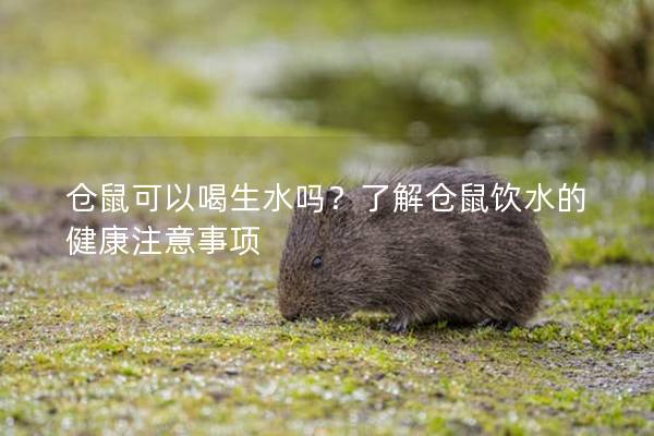仓鼠可以喝生水吗？了解仓鼠饮水的健康注意事项