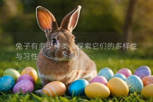 兔子有多少种类，探索它们的多样性与习性