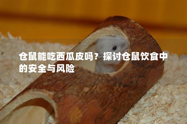 仓鼠能吃西瓜皮吗？探讨仓鼠饮食中的安全与风险