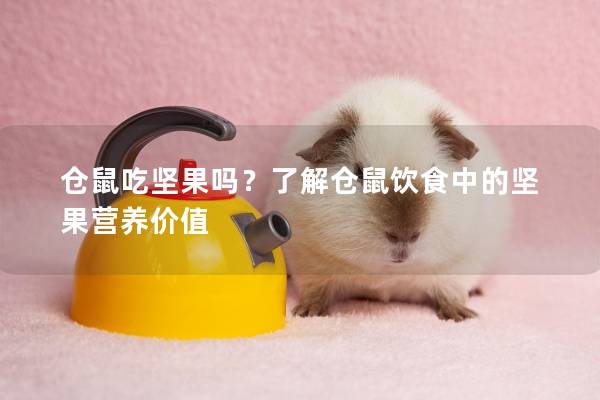 仓鼠吃坚果吗？了解仓鼠饮食中的坚果营养价值