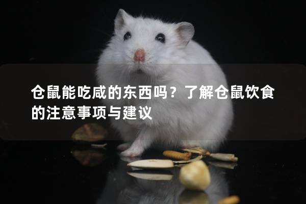 仓鼠能吃咸的东西吗？了解仓鼠饮食的注意事项与建议