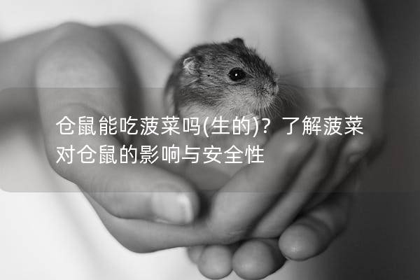 仓鼠能吃菠菜吗(生的)？了解菠菜对仓鼠的影响与安全性