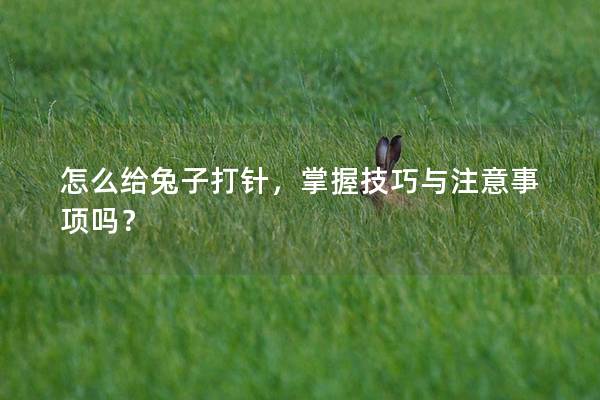 怎么给兔子打针，掌握技巧与注意事项吗？