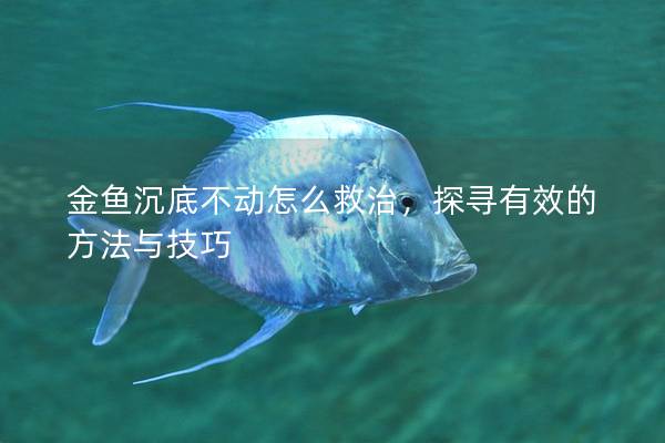 金鱼沉底不动怎么救治，探寻有效的方法与技巧