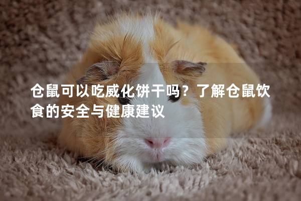 仓鼠可以吃威化饼干吗？了解仓鼠饮食的安全与健康建议