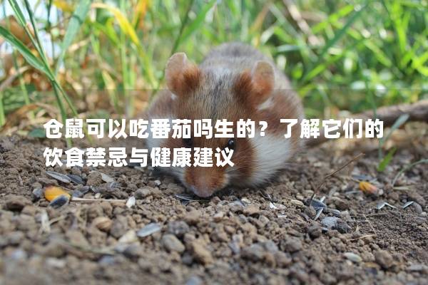 仓鼠可以吃番茄吗生的？了解它们的饮食禁忌与健康建议