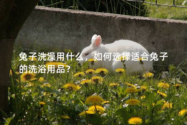 兔子洗澡用什么，如何选择适合兔子的洗浴用品？