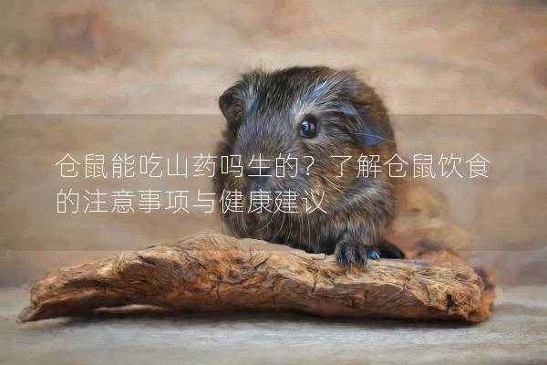 仓鼠能吃山药吗生的？了解仓鼠饮食的注意事项与健康建议