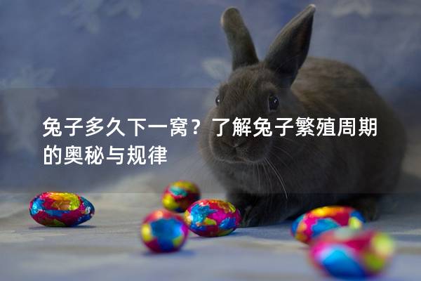 兔子多久下一窝？了解兔子繁殖周期的奥秘与规律